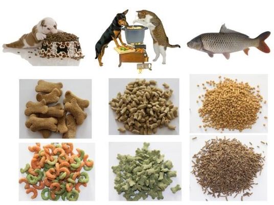 Extrudeuse pour aliments pour poissons de 3000 kg en acier inoxydable 201 304 pour une conversion améliorée des aliments pour poissons