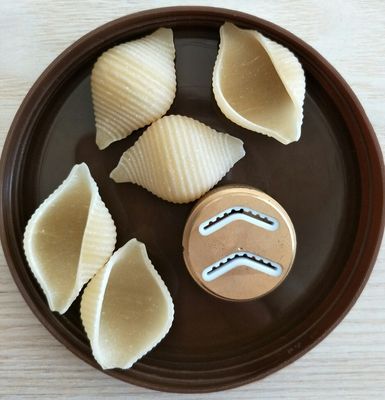 Machine à faire des macaronis en acier inoxydable de qualité alimentaire pour ligne de transformation à domicile