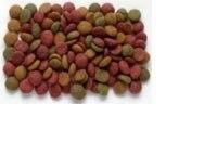 La machine à extruder à deux vis pour l'usine de granulés