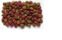 L'acier inoxydable avancé de petite et moyenne capacité de l'alimentation pour animaux de compagnie de pellets extrudeuse machine de traitement de ligne