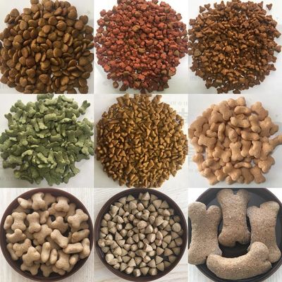 Ligne de production d'équipements de transformation de granulés de nourriture pour chiens pour animaux de compagnie pour acheteurs avancés