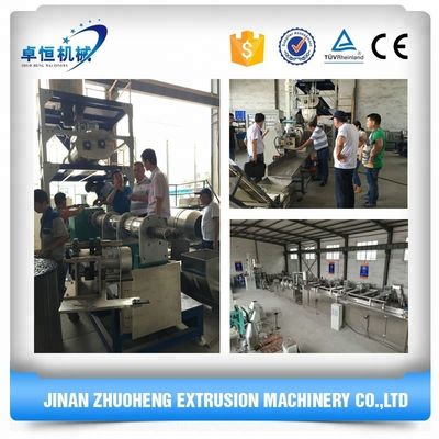 Ligne de production de pâtes de macaronis avec traitement entièrement automatisé et inspection vidéo