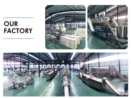 Machine de transformation des aliments pour animaux de compagnie en acier inoxydable pour usine de fabrication 23*3*3m automatique