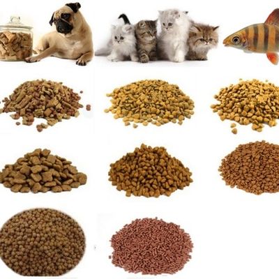 Produit alimentaire 150 kg/h Capacité Produit alimentaire pour poissons Machine de transformation de granulés pour aliments secs pour animaux de compagnie