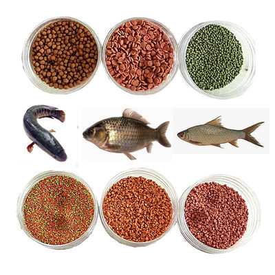 L' acier inoxydable alimentation automatique pour animaux de compagnie alimentation pour poissons pellets de fabrication de transformation ligne de production