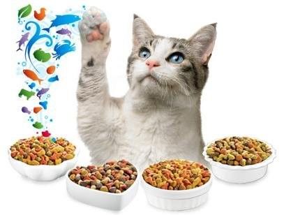 Machine de transformation de l'alimentation des chiens et des chats pour la production d'aliments multifonctionnels pour animaux de compagnie