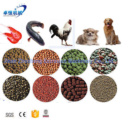 Machine de fabrication de nourriture pour animaux de compagnie industriels Snack pour chiens de chat Processage pour ligne de production de 3000 kg
