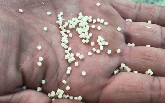 Fabricant automatique multifonctionnel de pâtes pour différentes variétés de pâtes Capacité 50 kg/h