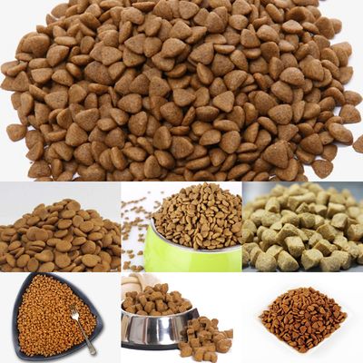 Automatisation Extrudeuse à double vis pour aliments pour animaux de compagnie