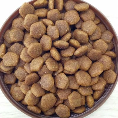 Équipement d'extrusion de granulés de nourriture pour chiens de petite taille avec technologie Delta Inverter